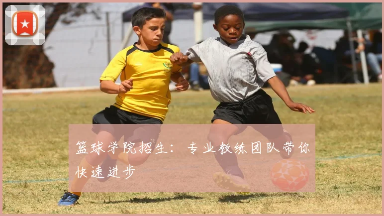 篮球学院招生：专业教练团队带你快速进步